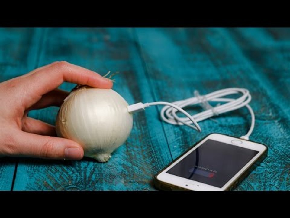 So kann man ein Handy mit einer Zwiebel laden.