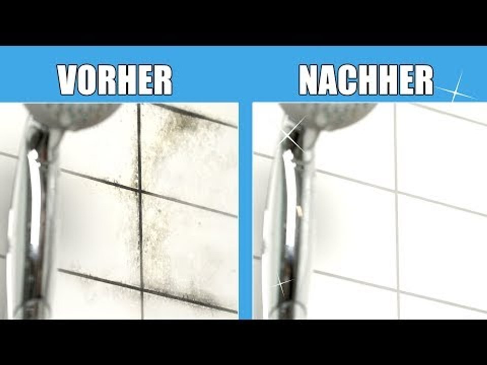 Schimmel entfernen mit Hausmitteln - ganz natürlich und ohne Chemie