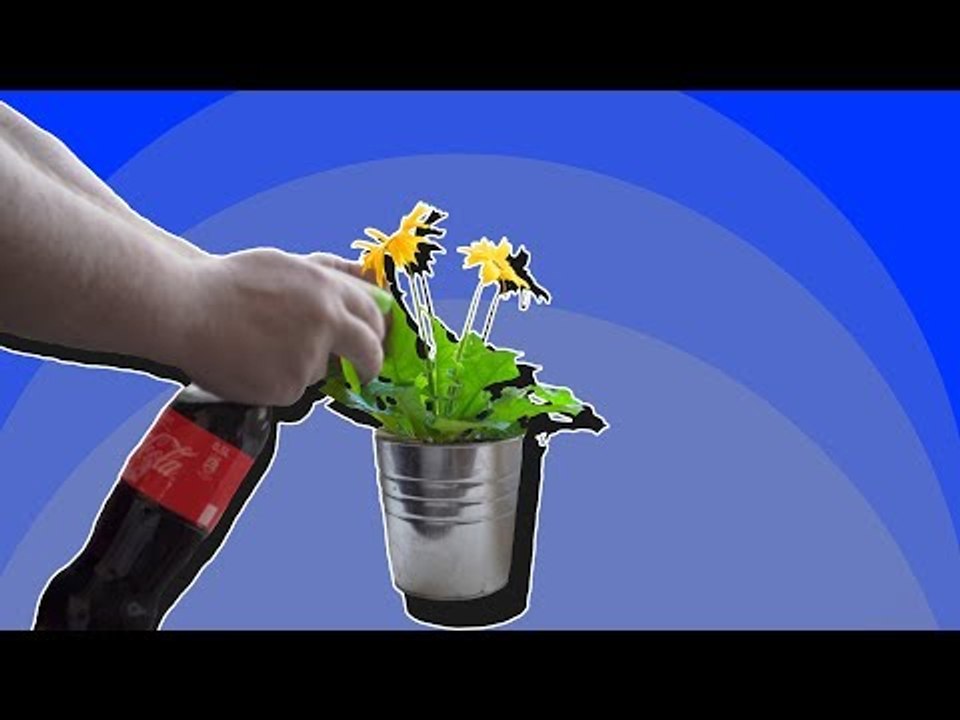 Cola macht dich nicht nur wach, sondern hilft dir auch in mindestens 6 anderen Situationen.