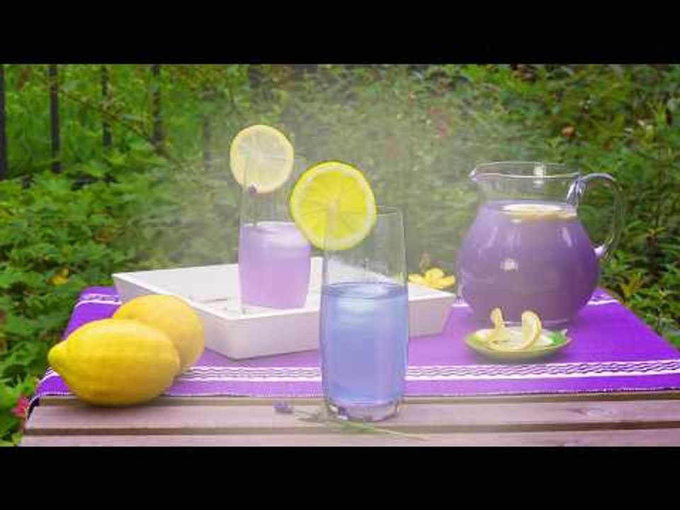 Kopfschmerzen oder Depressionen? Dieses Rezept für Lavendel Limonade kann dir helfen