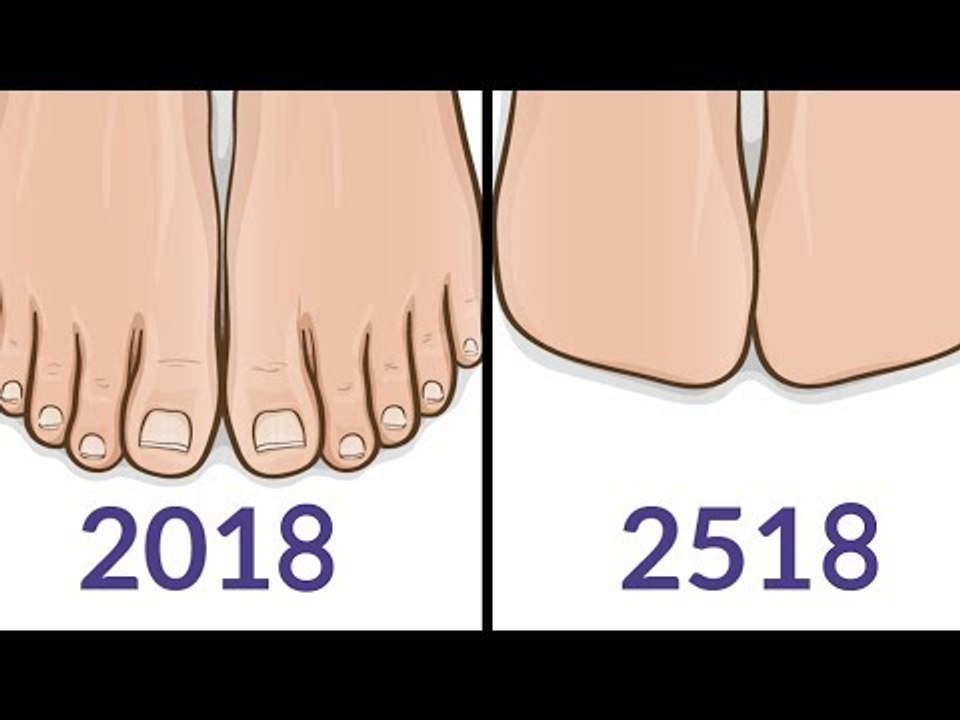 9 Körperteile, die es in 500 Jahren nicht mehr gibt.