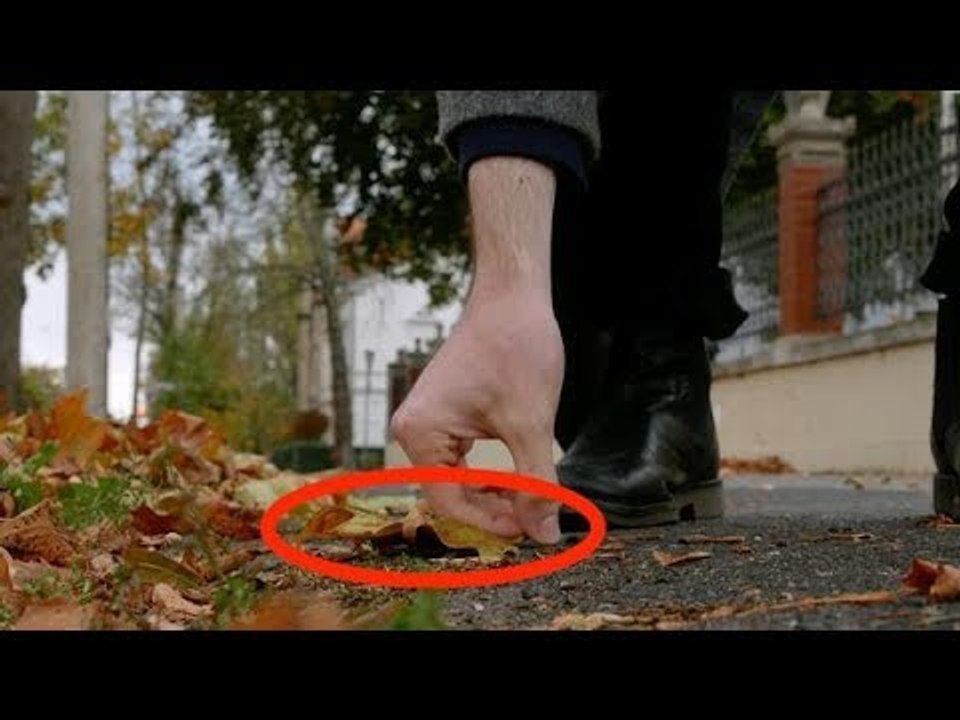 Dieser Mann hat bei Herbstspaziergang tolle Idee, was er aus den Blättern macht. Sieh selbst!