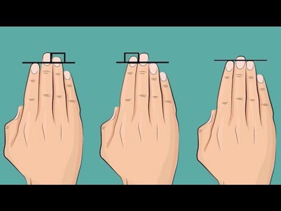 Ringfinger und Zeigefinger verraten, ob du attraktiv bist.