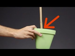 Schiebe 3 Blumentöpfe über eine Stange. Was am Ende dabei rauskommt, finden alle geil!