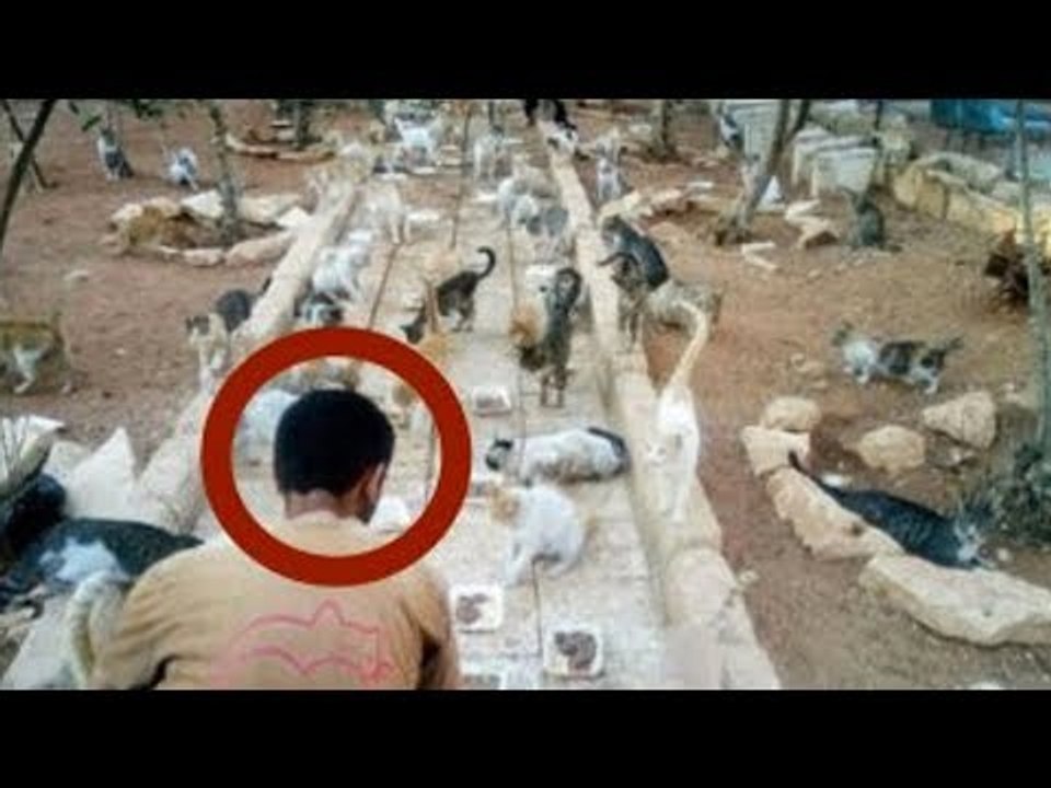 Mann entdeckt in Geisterstadt ein Problem, um das sich niemand kümmert.