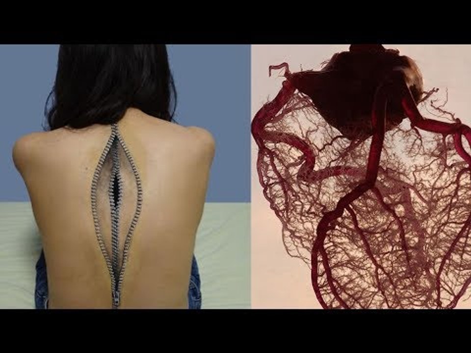 Diese Wahrheiten über deinen Körper werden dich schock...