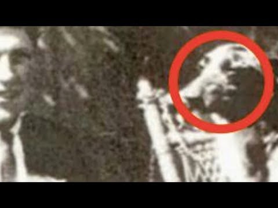 Die 8 am längsten lebenden Tiere des Planeten: Nr. 3...