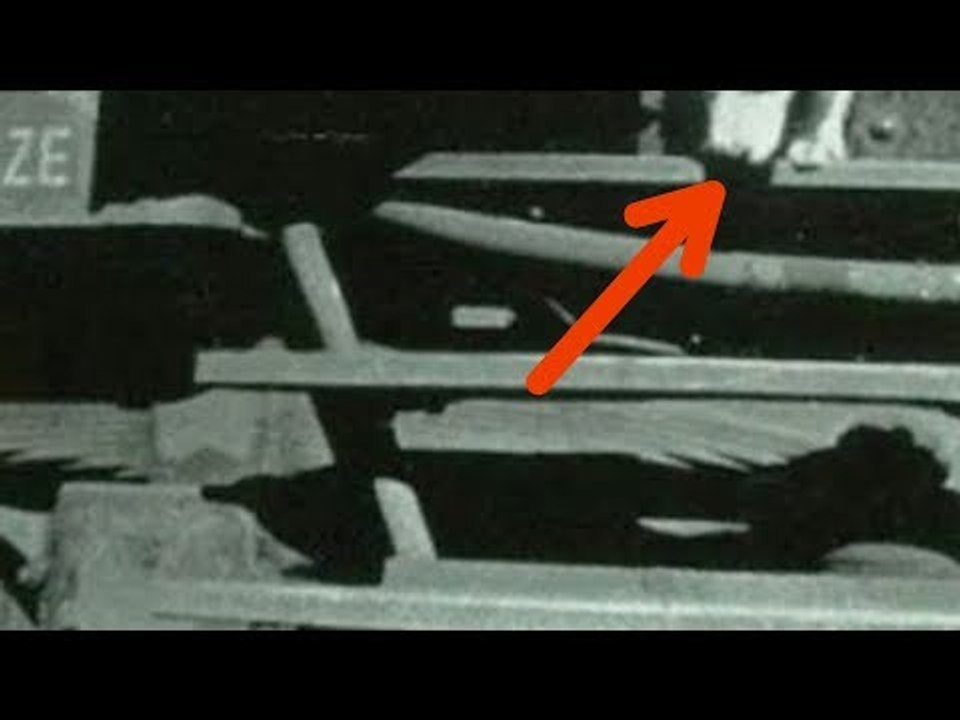 Was vor 66 Jahren aus dem Zug geklettert kommt, veränd...