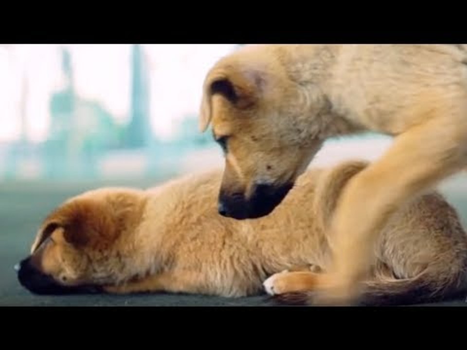 Er versuchte den Jungen davon abzuhalten, sich den beh...