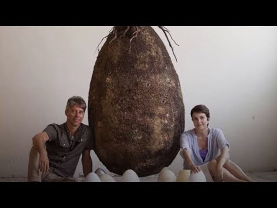 Verlängere dein Leben mit einer sonderbaren Methode