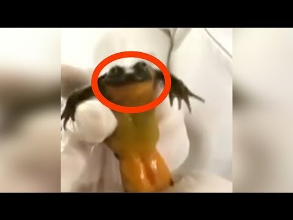 Dieses Bild landete auf einer Dating-Seite. Kurz darau...