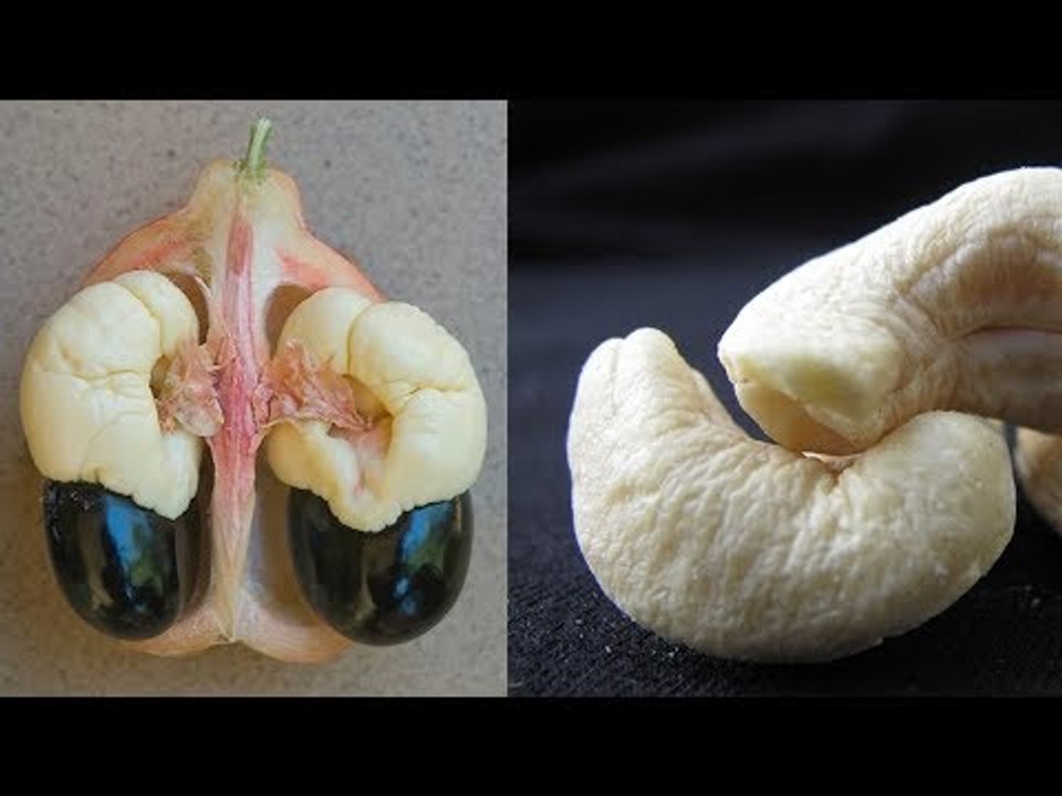 Diese 7 gefährlichen Sachen essen Menschen bedenkenlos, obwohl das wirklich böse enden könnte.