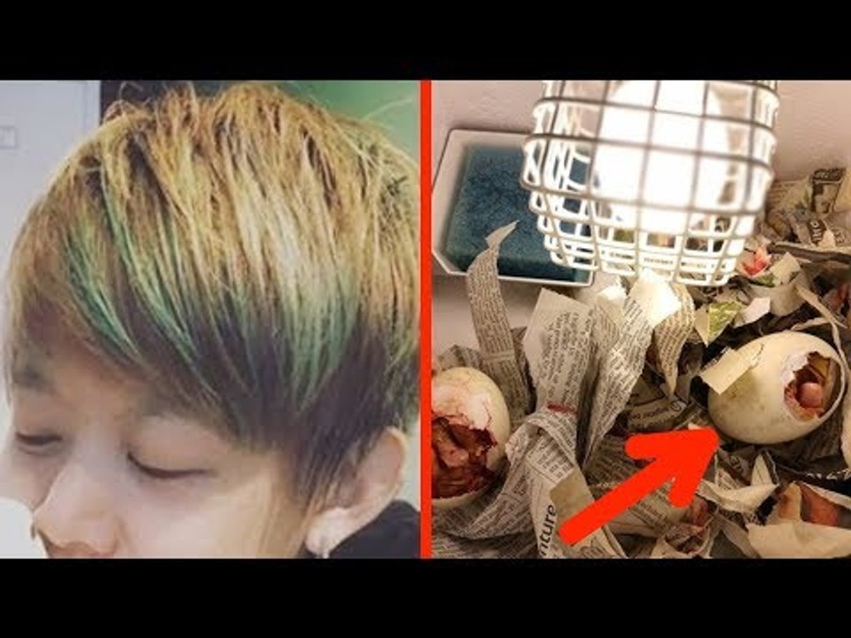 Sie rettet lebendiges Dessert und hält es als Haustier.