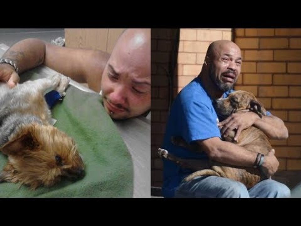 Wir trauern mehr um Hunde als um Menschen.