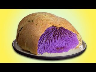 Was zur Hölle steckt in diesem Pizzateigball?! Zeigen!