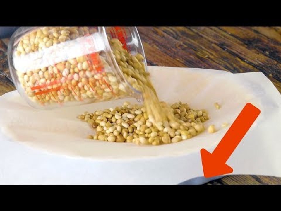 Kippe Hülsenfrüchte aufs Backpapier. Nach 20 Min weißt du, wieso.