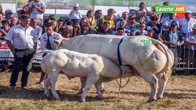 Libramont: découverte de la 85e Foire agricole commerciale et forestière