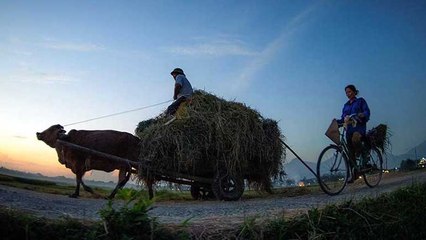 doi thoaji chinh sach tam nong 2407