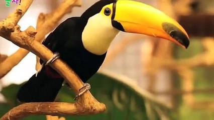 의령출장안마 -후불100%ョOiOs2671s8135｛카톡AQ52｝ 의령전지역출장안마 의령오피걸 의령출장마사지 의령안마 의령출장마사지 의령콜걸샵лмн