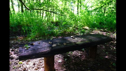 Escapade gourmande à Lorentzen (autour de la Heidenkirche)