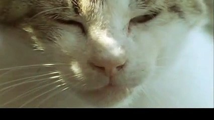 금산출장안마 -후불100%ョ 070c5180c1617｛카톡MAS91｝ 금산전지역출장안마 금산오피걸 금산출장마사지 금산안마 금산출장마사지 금산콜걸샵чшщ