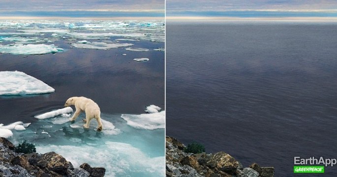 Alors que l'application FaceApp fait fureur, Greenpeace détourne le procédé pour dénoncer le réchauffement climatique