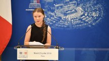 Greta Thunberg, la jeune écolo qui a pris la parole à l'Assemblée nationale