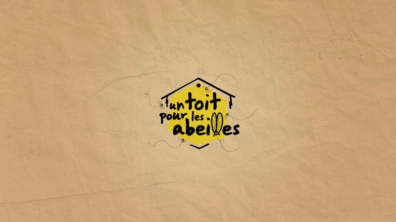 Un toit pour les abeilles : 2019 une année particulièrement difficile pour les abeilles et les apiculteurs