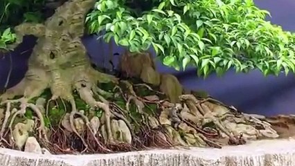 중화산동출장안마 -후불100%ョOiOW2671W8135｛카톡AQ52｝ 중화산동전지역출장안마 중화산동오피걸 중화산동출장마사지 중화산동안마 중화산동출장마사지 중화산동콜걸샵んァア