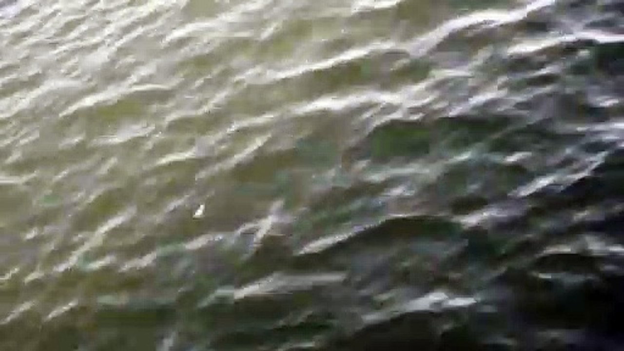 singing floating structures