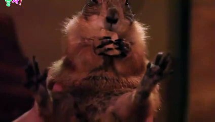 홍천출장타이O7Oy7575y0069｛카톡RD654｝ぱ홍천출장안@마ぱ홍천출장샵ぱ홍천출장맛사지 ぱ홍천출장걸썰 홍천출장걸가격 홍천출장러시아 홍천외국인후불출장업소 홍천24시출장마사지샵'예약※≒℃