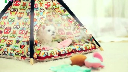 청주출장안마 -후불100%ョOiOE2659E1768｛카톡SN92｝ 청주전지역출장안마 청주오피걸 청주출장마사지 청주안마 청주출장마사지 청주콜걸샵√◎≪