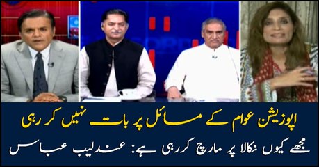 Opposition lacks highlighting public issues: Andleeb Abbas