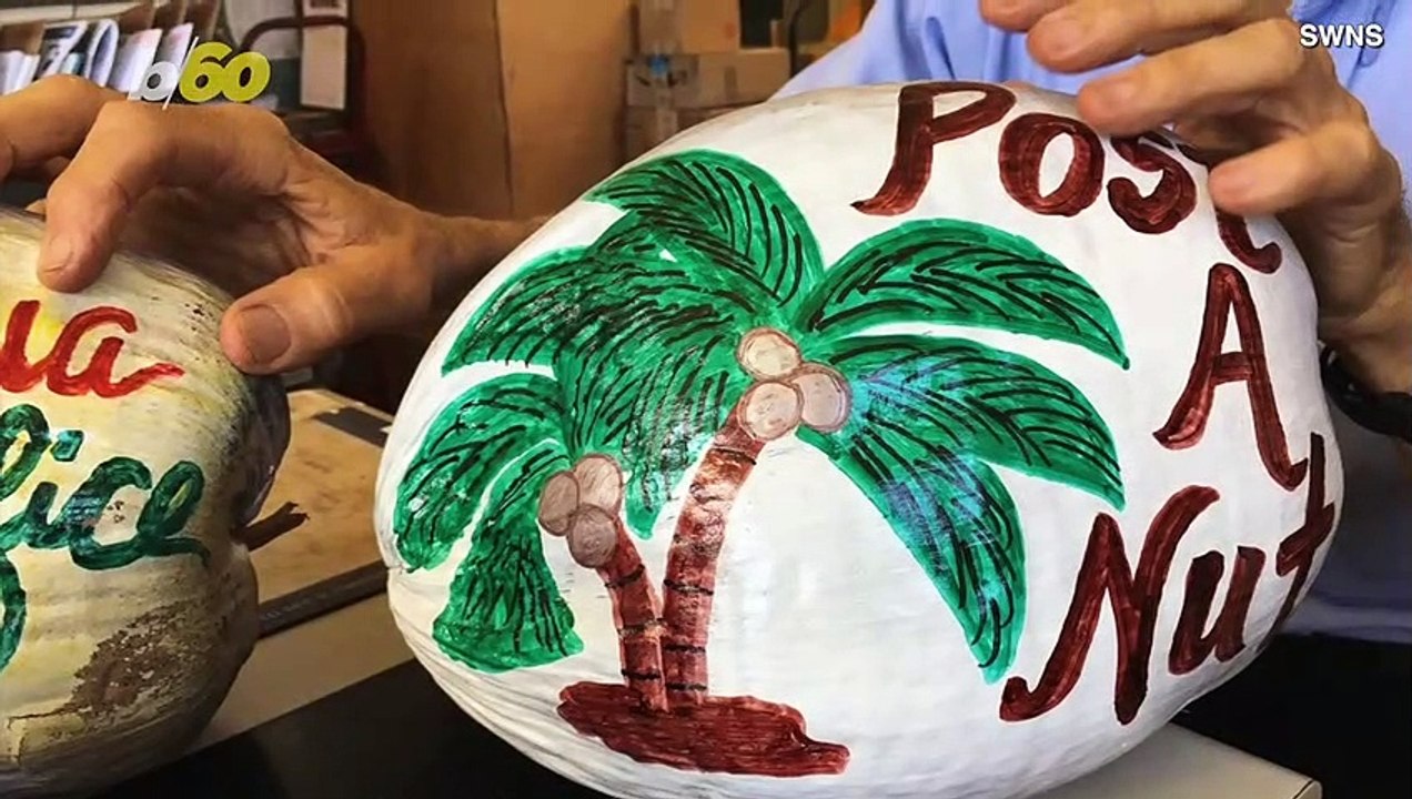 Post Office in Hawaii Will Mail a Coconut to Your Loved Ones Instead of a Flimsy Old Postcard