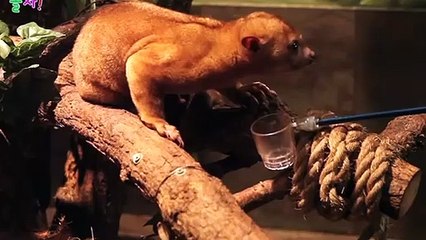 강동출장안마 -후불100%ョO7OW7301W9649｛카톡LA25｝ 강동전지역출장안마 강동오피걸 강동출장마사지 강동안마 강동출장마사지 강동콜걸샵ヂッツ