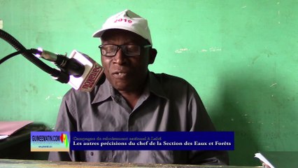 Campagne de reboisement national à Labé : les autres précisions du chef de la section des Eaux et forêts