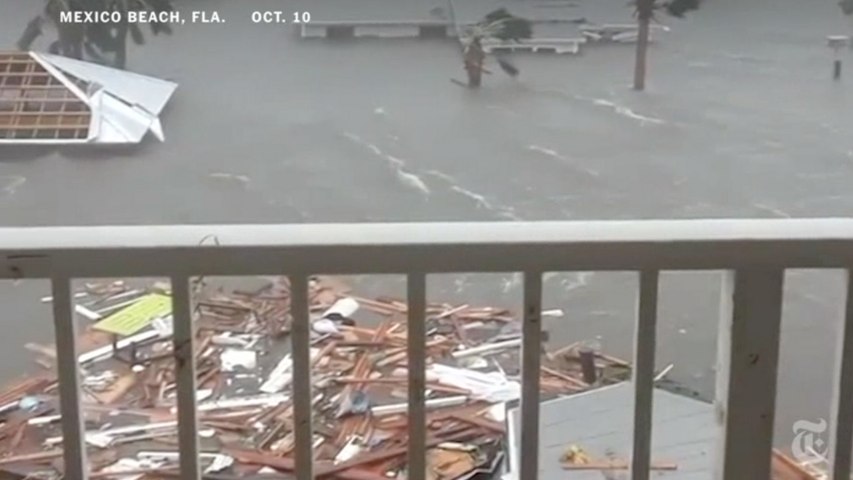 ‘Trees flying by’ | The aftermath of hurricane Michael