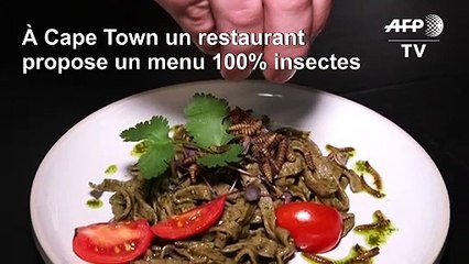 Afrique du Sud: un restaurant du Cap propose un menu 100% insectes