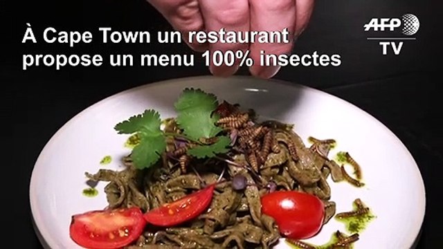 Afrique du Sud: un restaurant du Cap propose un menu 100% insectes