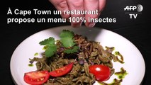 Afrique du Sud: un restaurant du Cap propose un menu 100% insectes