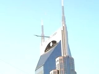 Todd Cecil Hot Nashville Babe Music Video