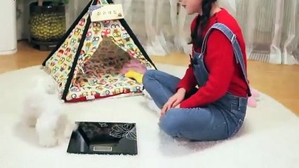 의성출장안마 -후불100%ョO7Os7301s9649｛카톡ZF66｝ 의성전지역출장안마 의성오피걸 의성출장마사지 의성안마 의성출장마사지 의성콜걸샵≫√▼