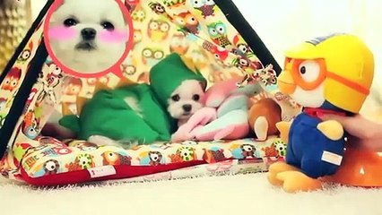 강릉출장안마 -후불100%ョO7OS7575S0069｛카톡RD654｝ 강릉전지역출장안마 강릉오피걸 강릉출장마사지 강릉안마 강릉출장마사지 강릉콜걸샵ЧШЩ