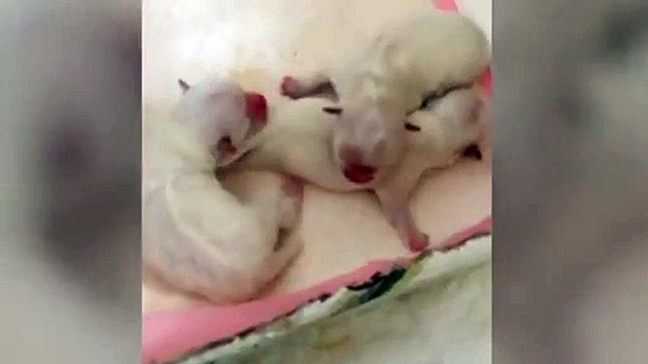 순천출장안마 -후불100%ョO7OW7333W9649｛카톡LGT010｝ 순천전지역출장안마 순천오피걸 순천출장마사지 순천안마 순천출장마사지 순천콜걸샵イゥウ