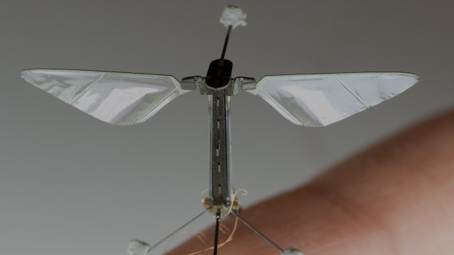 This Robot Bee Could Save Lives And Plants