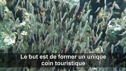Jordanie: un musée militaire sous-marin en mer Rouge