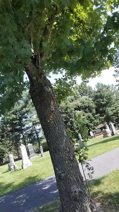 Beginning of Several Spirits Talking About a "Family Fortune" in  Cemetery Say My Name Twice! Mount  Olivet Cemetery Lunar Paranormal Virginia
