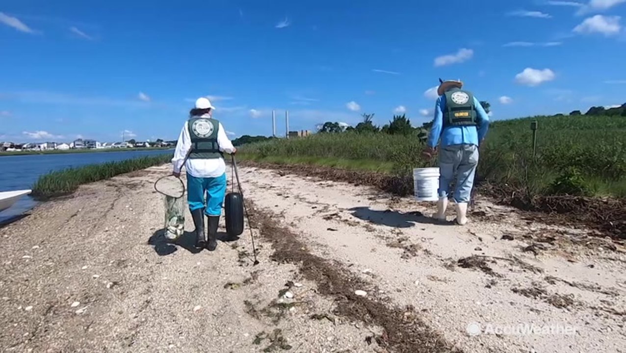 Volunteers cleanup waterways after torrential d...