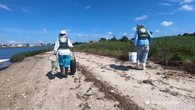 Volunteers cleanup waterways after torrential downpours
