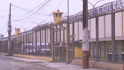 Felszabadító koncert